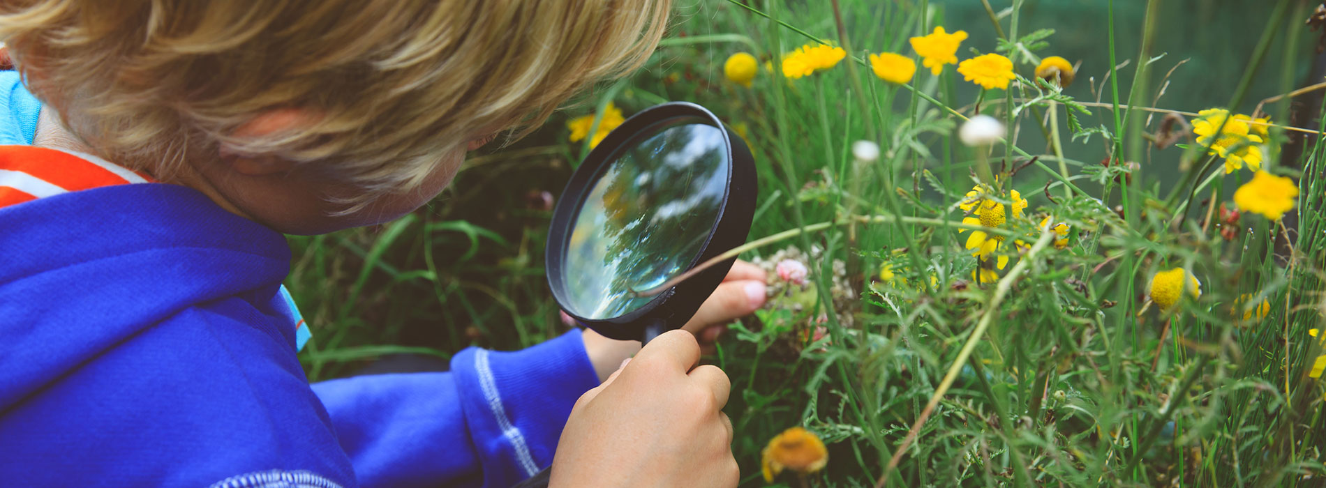 Find - Search for Programs