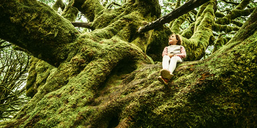 Girl in Tree